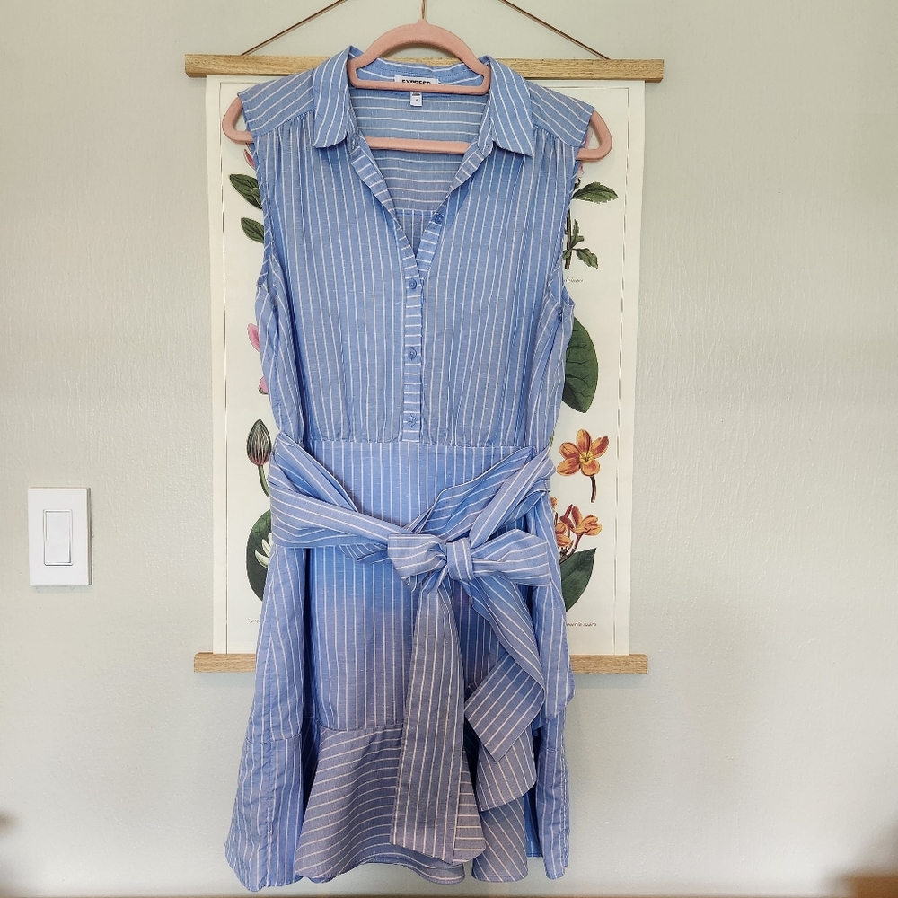 Express Blue White Striped Sleeves Dress